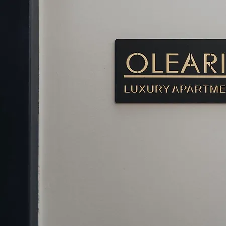 Apartamento Luxury Olearis