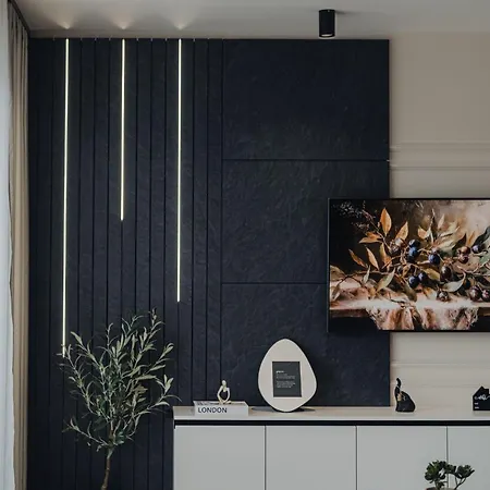 Apartamento Luxury Olearis